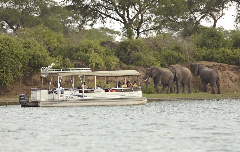 boat cruise safari